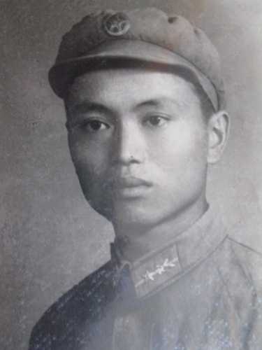 �����Ƹ�������