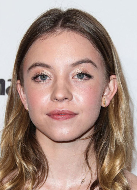 �����ݡ�˹ά���������